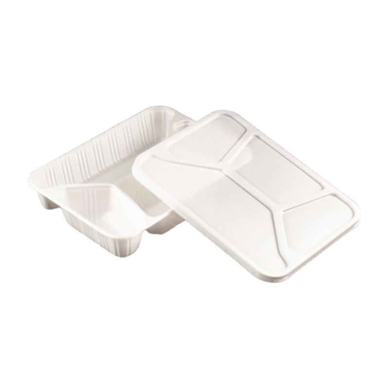 Biodegradable Disposable Lunch Box